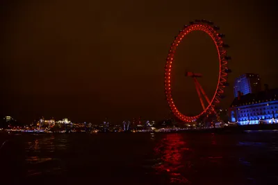 DSC_5729 (Large).JPG